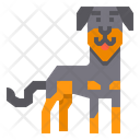 پیش‌نمایش فایل beauceron-dog-2299714 از پک سگ