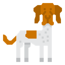 پیش‌نمایش فایل danish-pointer-dog-2299708 از پک سگ