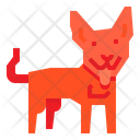 پیش‌نمایش فایل dingo-dog-2299707 از پک سگ