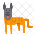 پیش‌نمایش فایل hollandse-herder-dog-2299702 از پک سگ