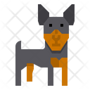 پیش‌نمایش فایل miniature-pinscher-dog-2299697 از پک سگ