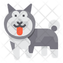 پیش‌نمایش فایل norwegian-elkhound-dog-2299696 از پک سگ