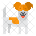 پیش‌نمایش فایل russell-terrier-dog-2299693 از پک سگ