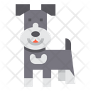 پیش‌نمایش فایل schnauzer-dog-2299692 از پک سگ
