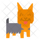 پیش‌نمایش فایل silky-dog-2299691 از پک سگ