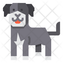 پیش‌نمایش فایل st-john-dog-2299690 از پک سگ