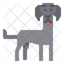 پیش‌نمایش فایل weimaraner-dog-2299689 از پک سگ
