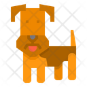 پیش‌نمایش فایل welsh-terrier-dog-2299688 از پک سگ