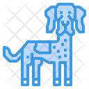 پیش‌نمایش فایل danish-pointer-dog-2299648 از پک سگ