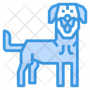 پیش‌نمایش فایل kangla-dog-2299641 از پک سگ