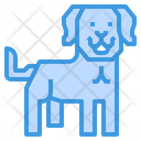 پیش‌نمایش فایل labrador-dog-2299639 از پک سگ