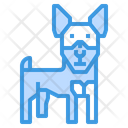 پیش‌نمایش فایل miniature-pinscher-dog-2299637 از پک سگ