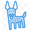 پیش‌نمایش فایل pakistani-gull-terrier-dog-2299635 از پک سگ