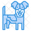 پیش‌نمایش فایل russell-terrier-dog-2299633 از پک سگ