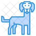 پیش‌نمایش فایل weimaraner-dog-2299629 از پک سگ