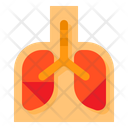 پیش‌نمایش فایل lungs-2898476 از پک پزشکی و سلامت