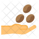 پیش‌نمایش فایل coffee-beans-3064246 از پک قهوه