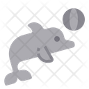 پیش‌نمایش فایل dolphin-3640496 از پک حیوانات