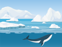 پیش‌نمایش فایل antarctica-whale-9300780 از پک جنوبگان