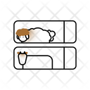 پیش‌نمایش فایل cute-sheeps-in-shelf-8942025 از پک عید قربان