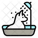پیش‌نمایش فایل cat-bathing-6486640 از پک حیوان خانگی گربه و سگ