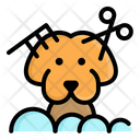پیش‌نمایش فایل dog-grooming-6486647 از پک حیوان خانگی گربه و سگ