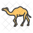 پیش‌نمایش فایل camel-11608282 از پک حیوانات