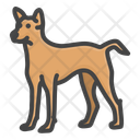 پیش‌نمایش فایل dog-11608287 از پک حیوانات
