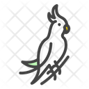 پیش‌نمایش فایل parrot-11608294 از پک حیوانات