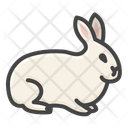 پیش‌نمایش فایل rabbit-11608296 از پک حیوانات