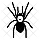 پیش‌نمایش فایل spider-11608353 از پک حیوانات