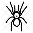 پیش‌نمایش فایل spider-11608333 از پک حیوانات