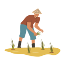 پیش‌نمایش فایل asian-farmer-grows-rice-11609122 از پک کشاورزان برنج آسیایی