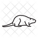 پیش‌نمایش فایل beaver-3248207 از پک پستاندار جلد 2