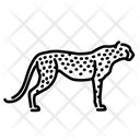 پیش‌نمایش فایل cheetah-3248211 از پک پستاندار جلد 2