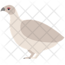 پیش‌نمایش فایل animal-3224713 از پک حیوانات