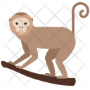 پیش‌نمایش فایل animal-3224714 از پک حیوانات