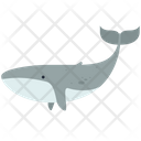 پیش‌نمایش فایل dolphin-3224876 از پک حیوانات جنوبگان