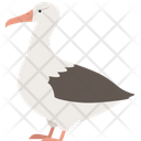 پیش‌نمایش فایل duck-3224880 از پک حیوانات جنوبگان