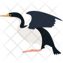 پیش‌نمایش فایل flying-duck-3224874 از پک حیوانات جنوبگان