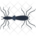 پیش‌نمایش فایل mosquito-3224873 از پک حیوانات جنوبگان