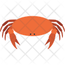 پیش‌نمایش فایل crab-3224858 از پک حیوانات دریایی