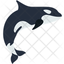 پیش‌نمایش فایل dolphin-3224861 از پک حیوانات دریایی