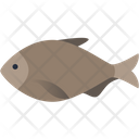 پیش‌نمایش فایل fish-3224840 از پک حیوانات دریایی