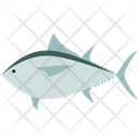 پیش‌نمایش فایل piranha-3224845 از پک حیوانات دریایی