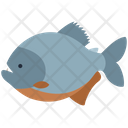 پیش‌نمایش فایل piranha-3224846 از پک حیوانات دریایی