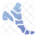 پیش‌نمایش فایل foot-bone-1408618 از پک پزشکی