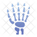پیش‌نمایش فایل hand-bone-1408617 از پک پزشکی