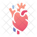 پیش‌نمایش فایل heart-1408615 از پک پزشکی