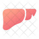 پیش‌نمایش فایل liver-1408610 از پک پزشکی